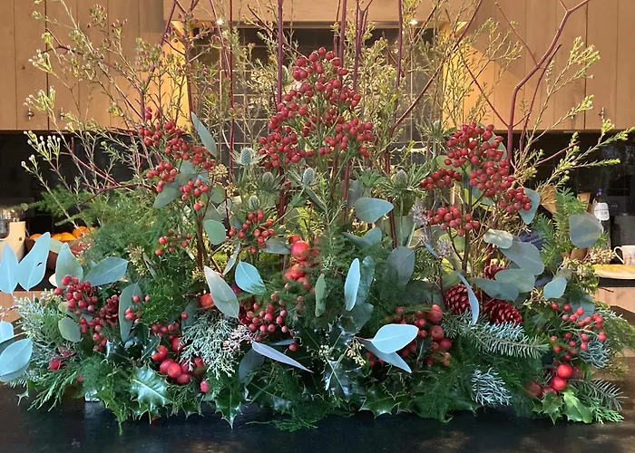 Tree & BBed and Breakfast